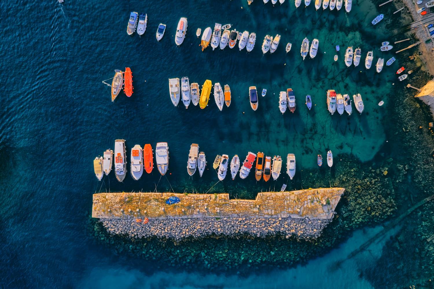 Frangiflutti Kaše image