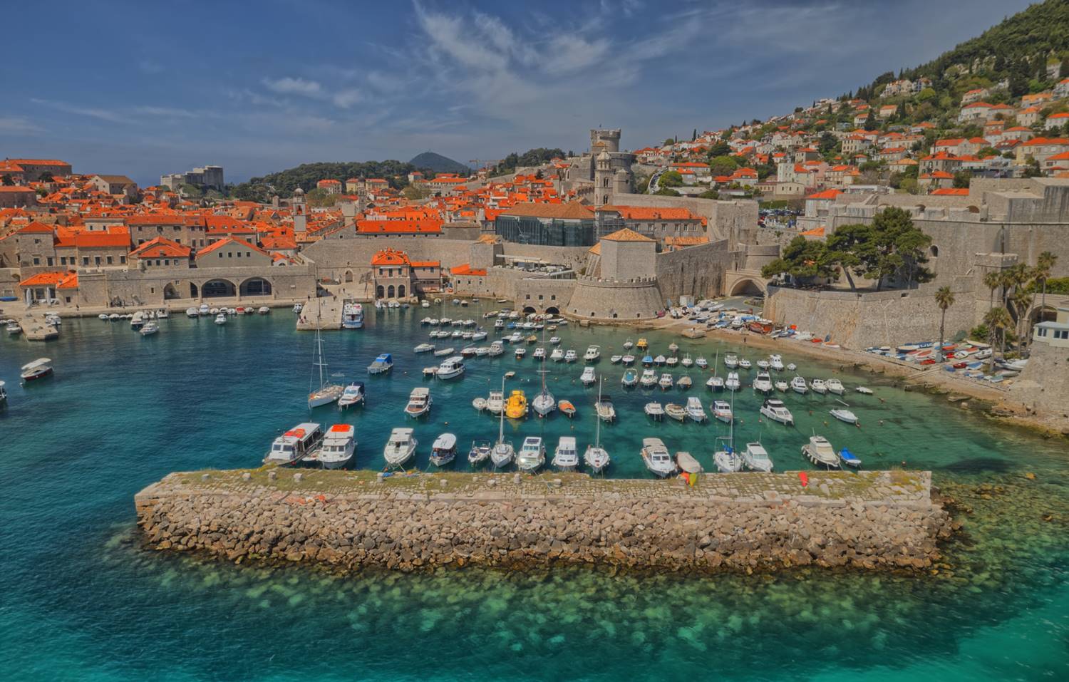 Frangiflutti Kaše image