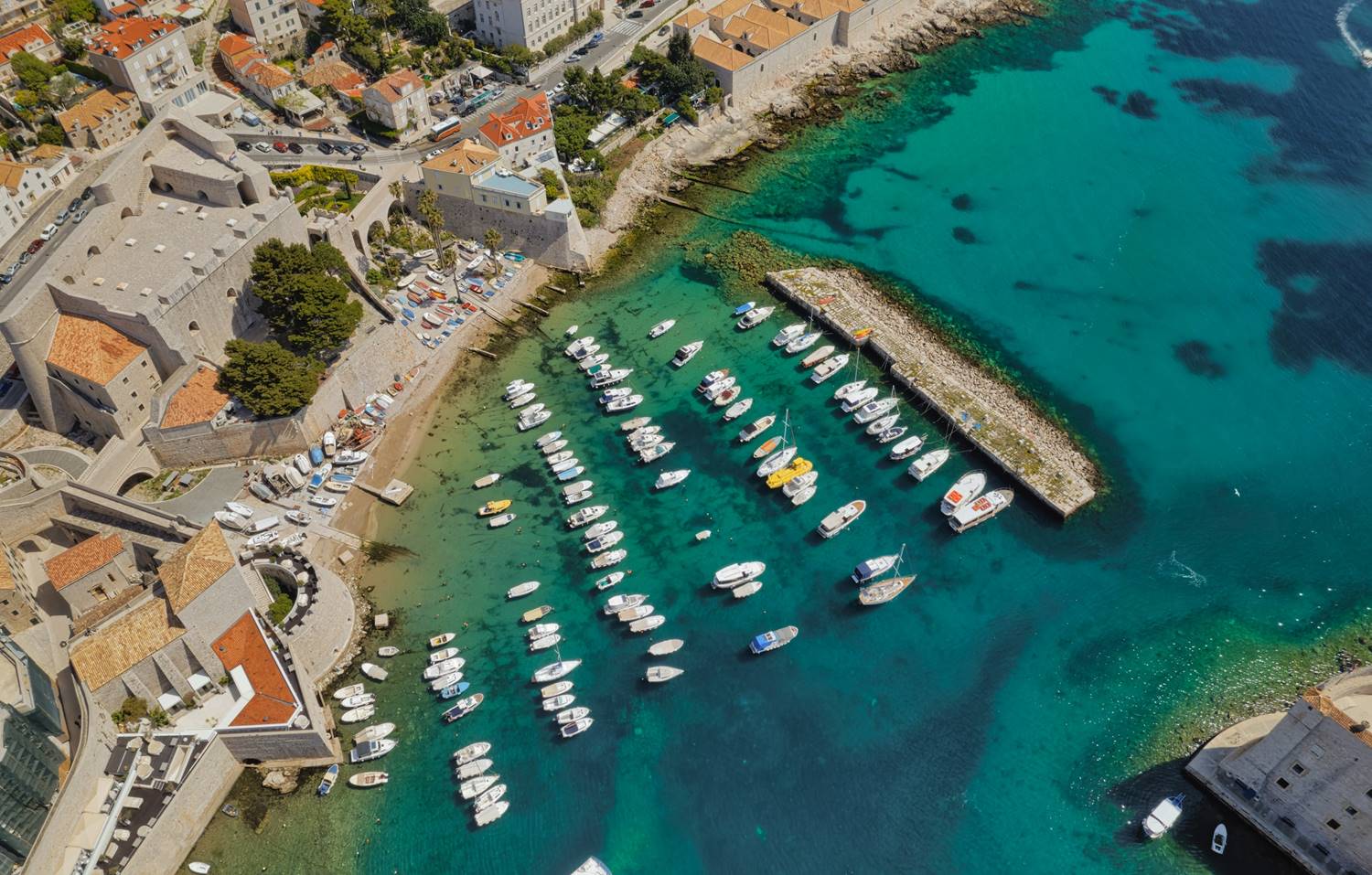 Frangiflutti Kaše image