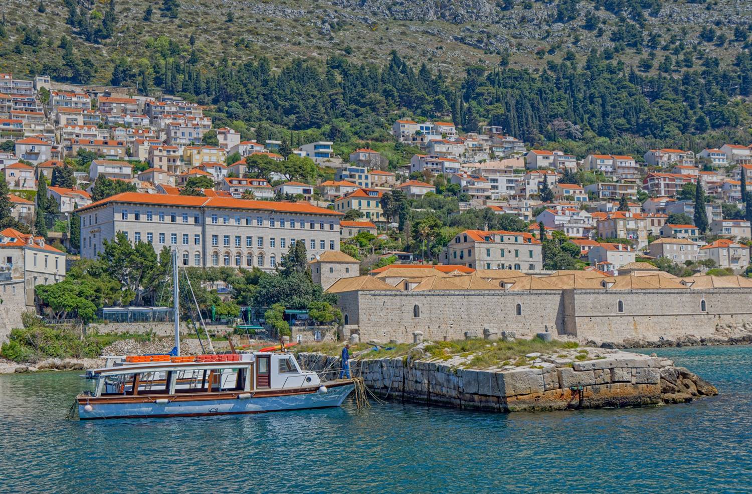 Frangiflutti Kaše image