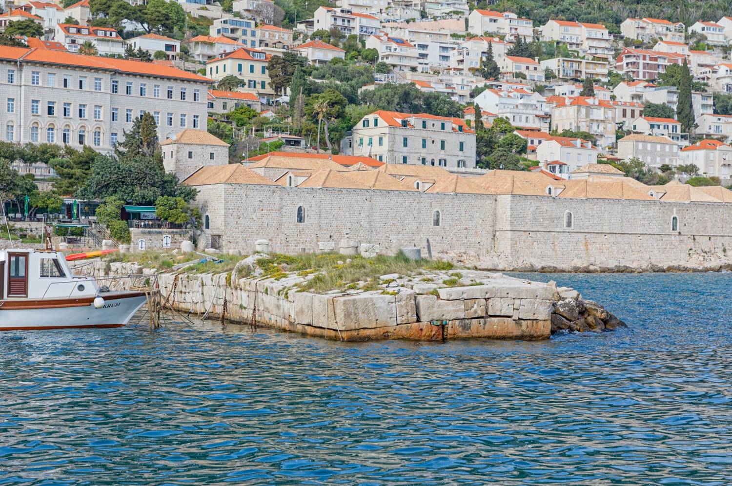 Frangiflutti Kaše image