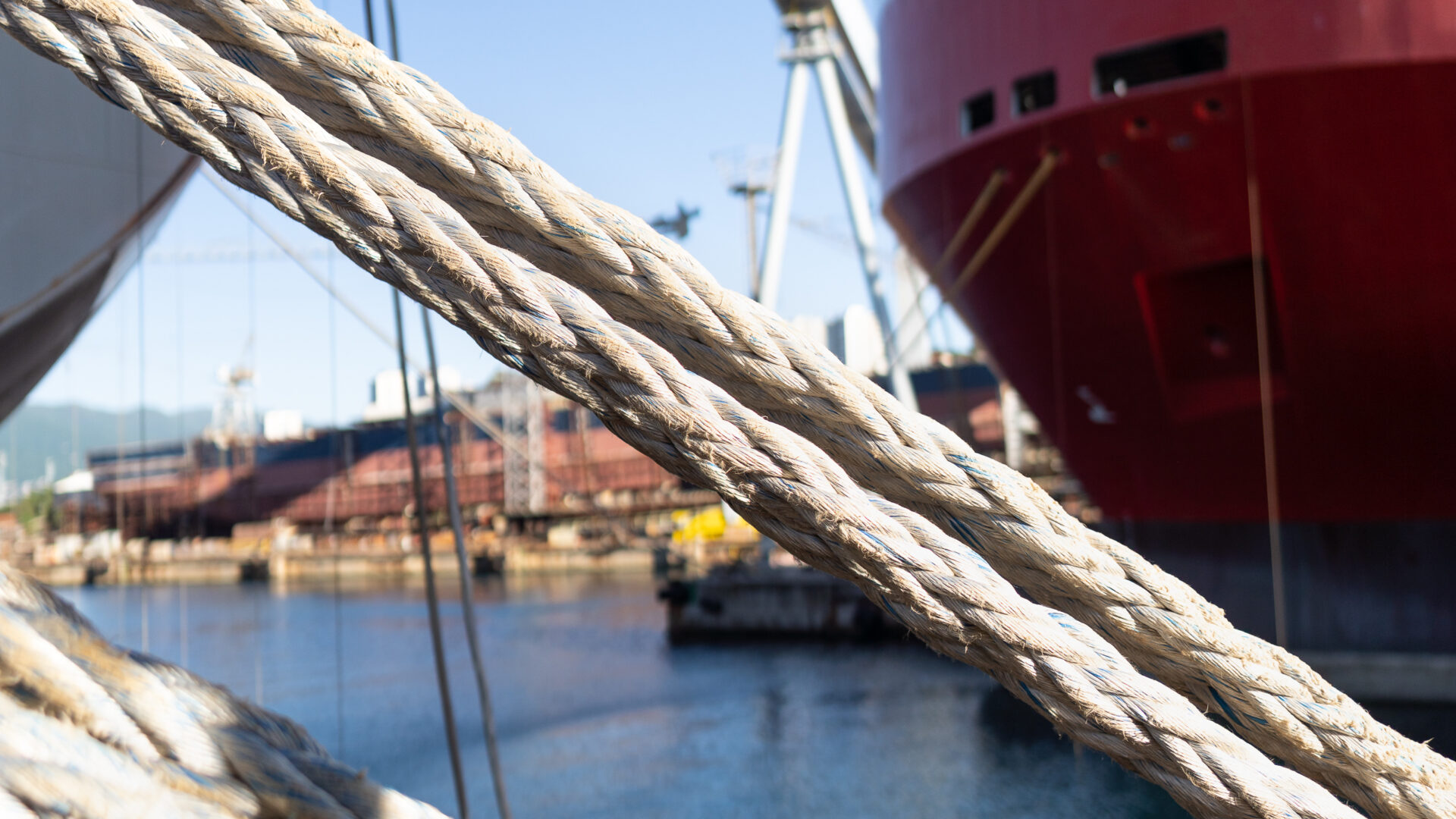 Palazzo della raffineria di zucchero – lo zucchero viene prima di tutto image
