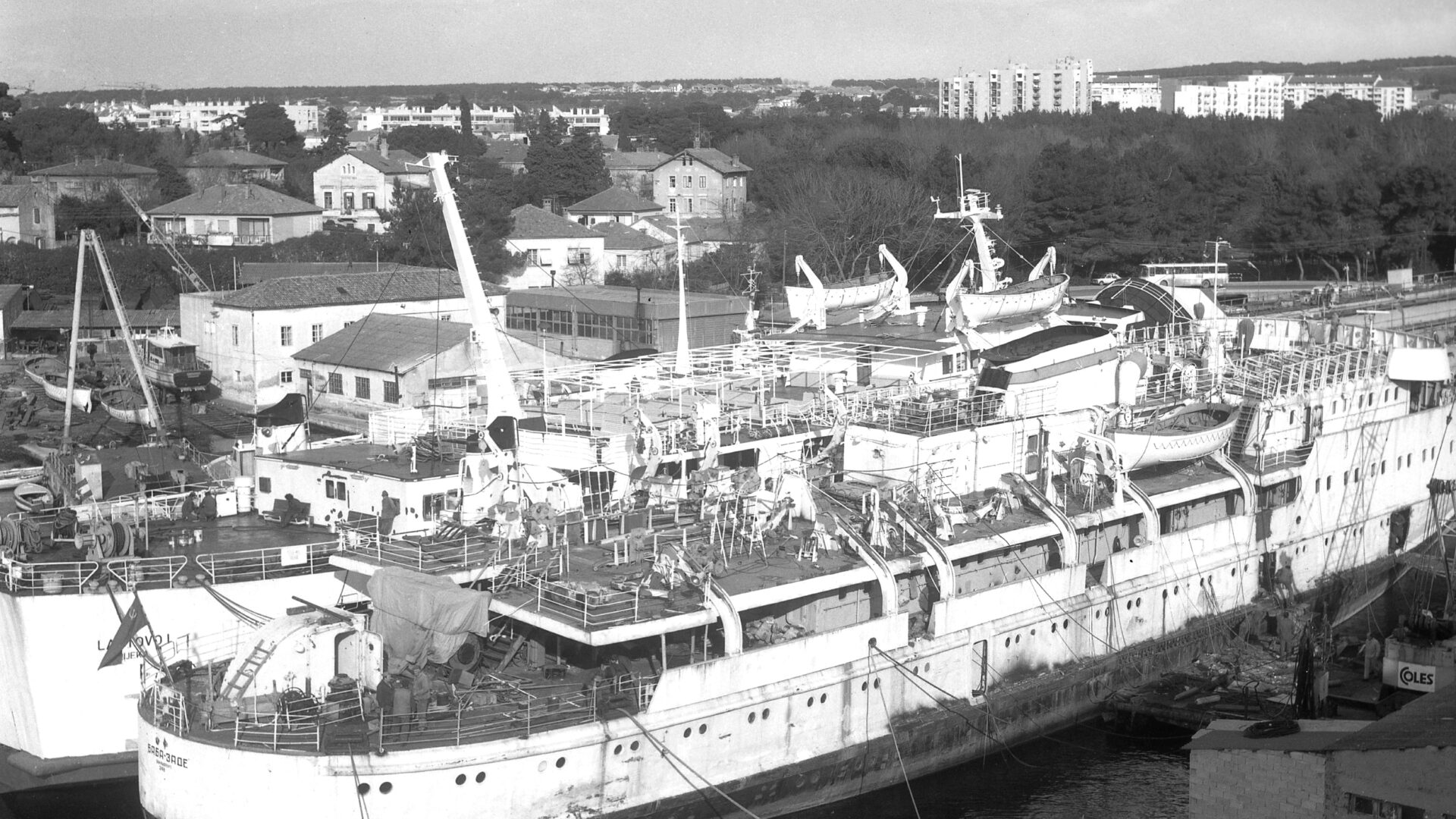 Export of cattle from Vrulja Bay image