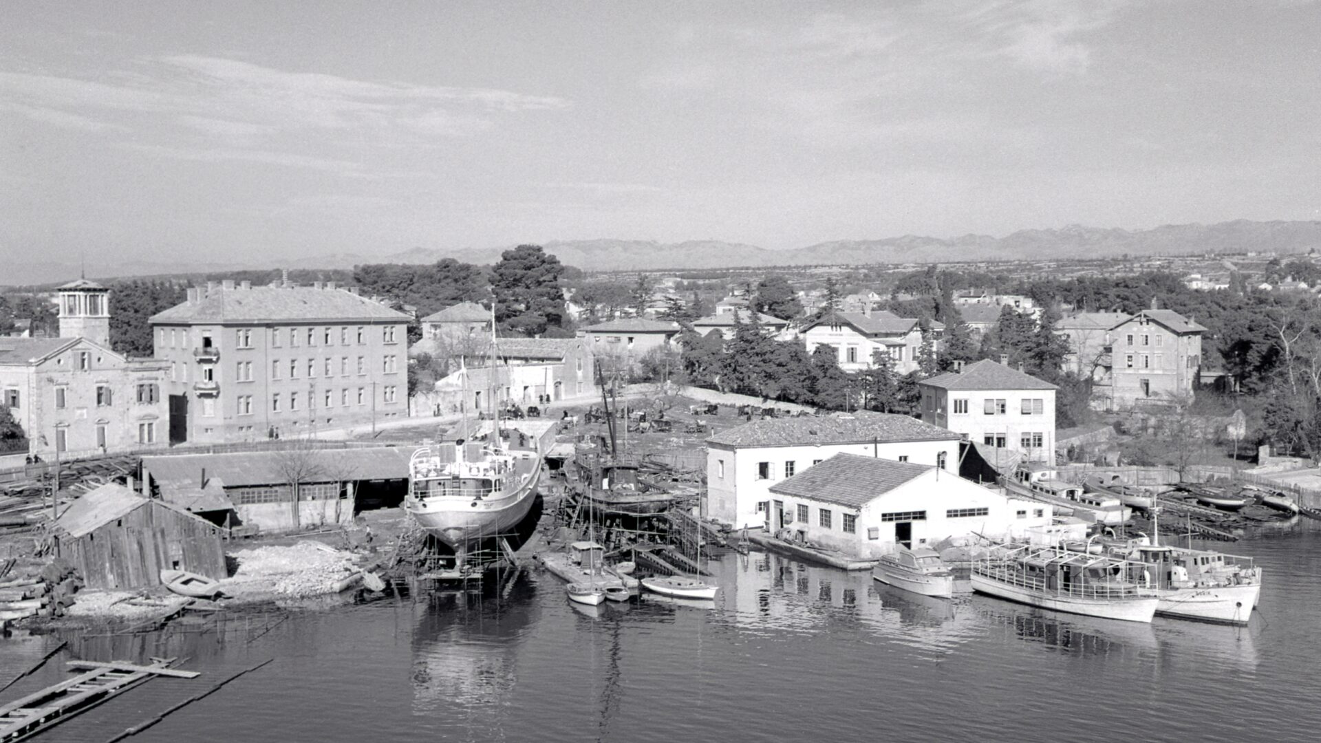 Export of cattle from Vrulja Bay image