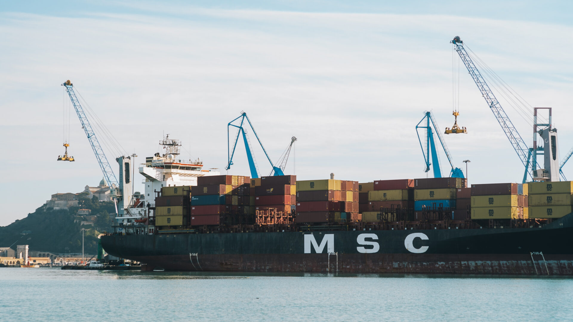 THE CONTAINER LANDSCAPE image