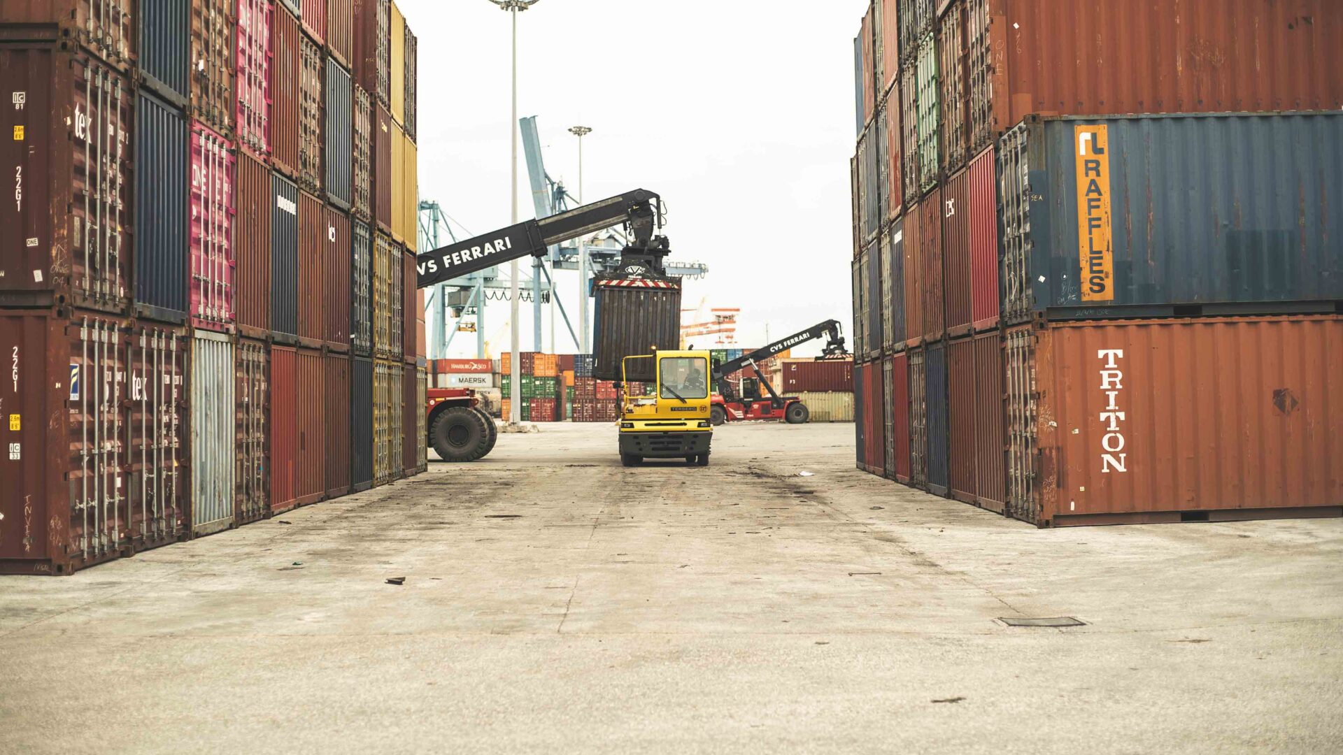THE CONTAINER LANDSCAPE image