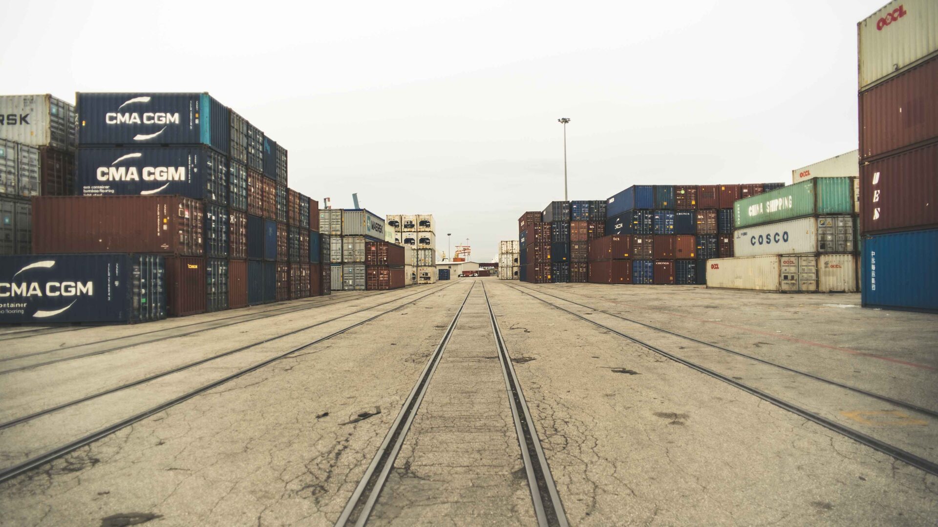 THE CONTAINER LANDSCAPE image