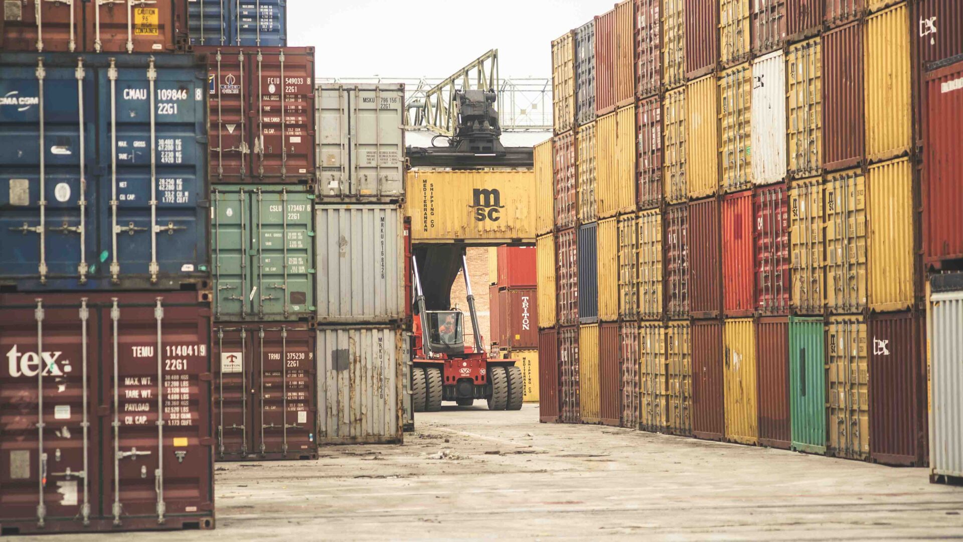 THE CONTAINER LANDSCAPE image