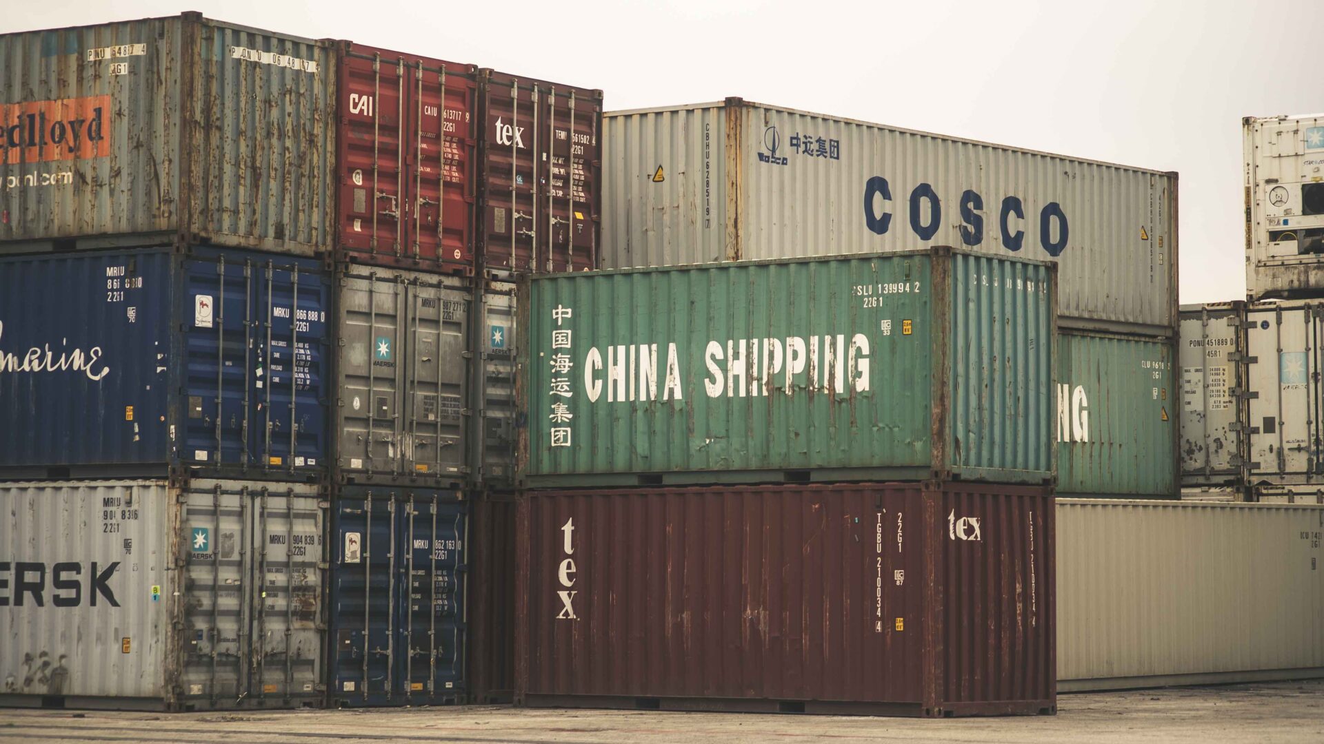 THE CONTAINER LANDSCAPE image