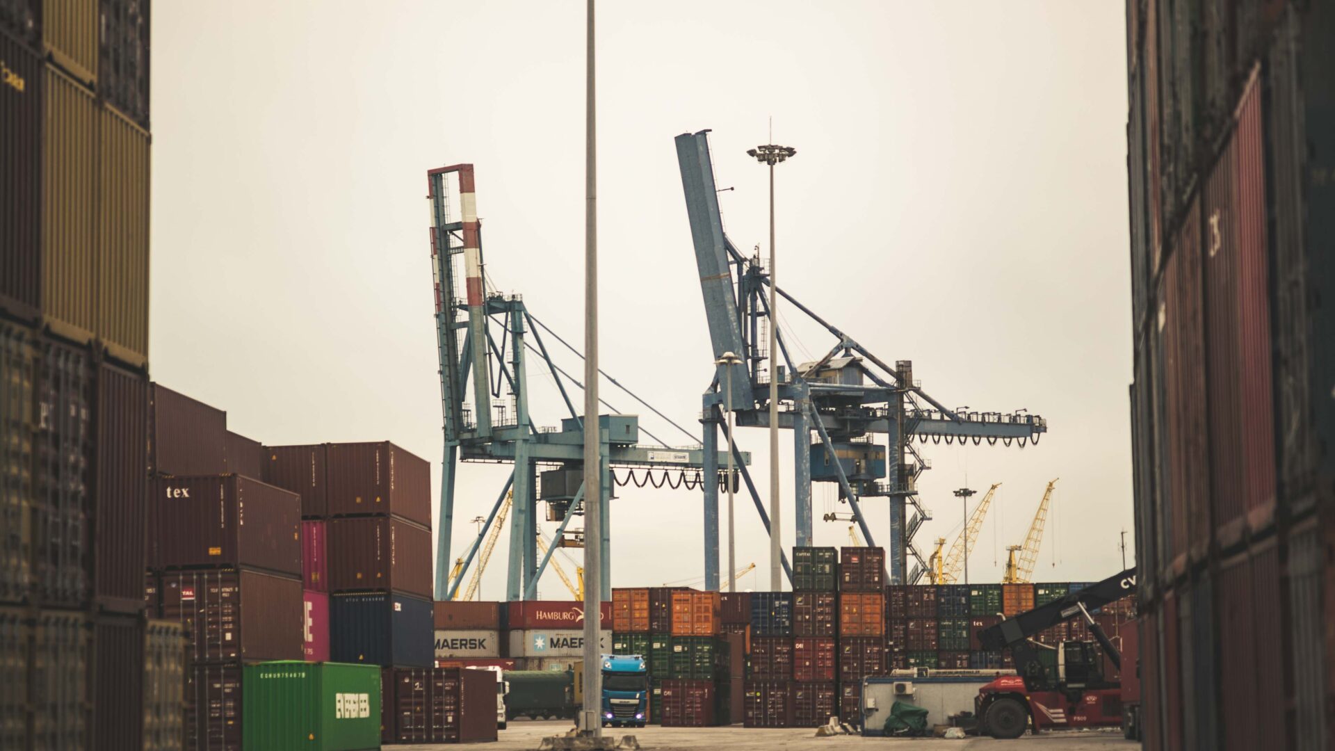 THE CONTAINER LANDSCAPE image