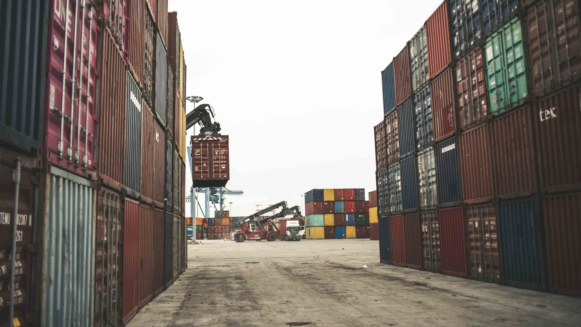 THE CONTAINER LANDSCAPE image