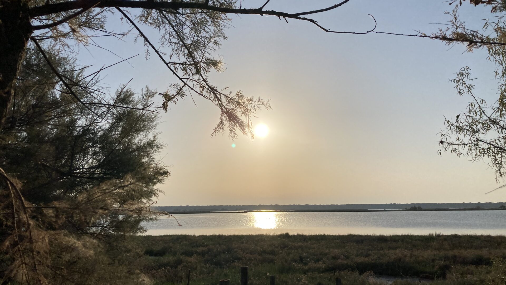 L’Isola degli Spinaroni image