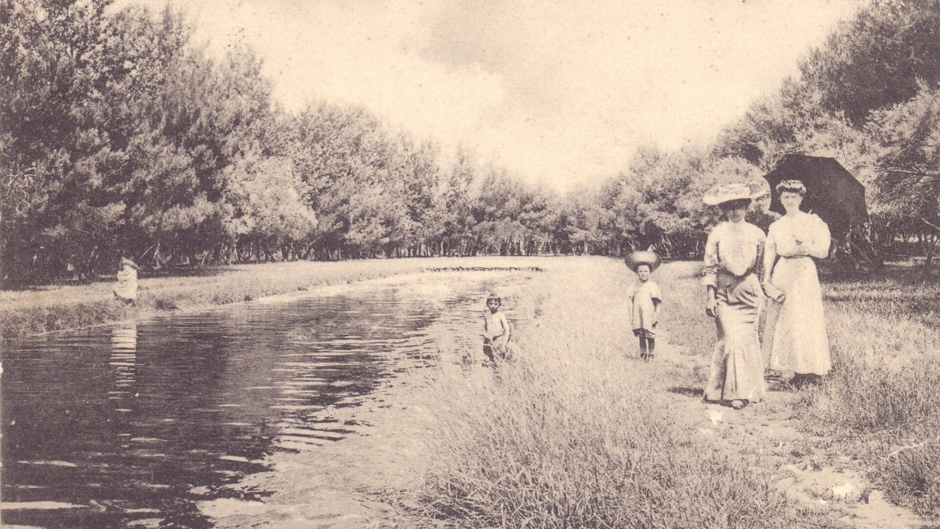 Export of cattle from Vrulja Bay image