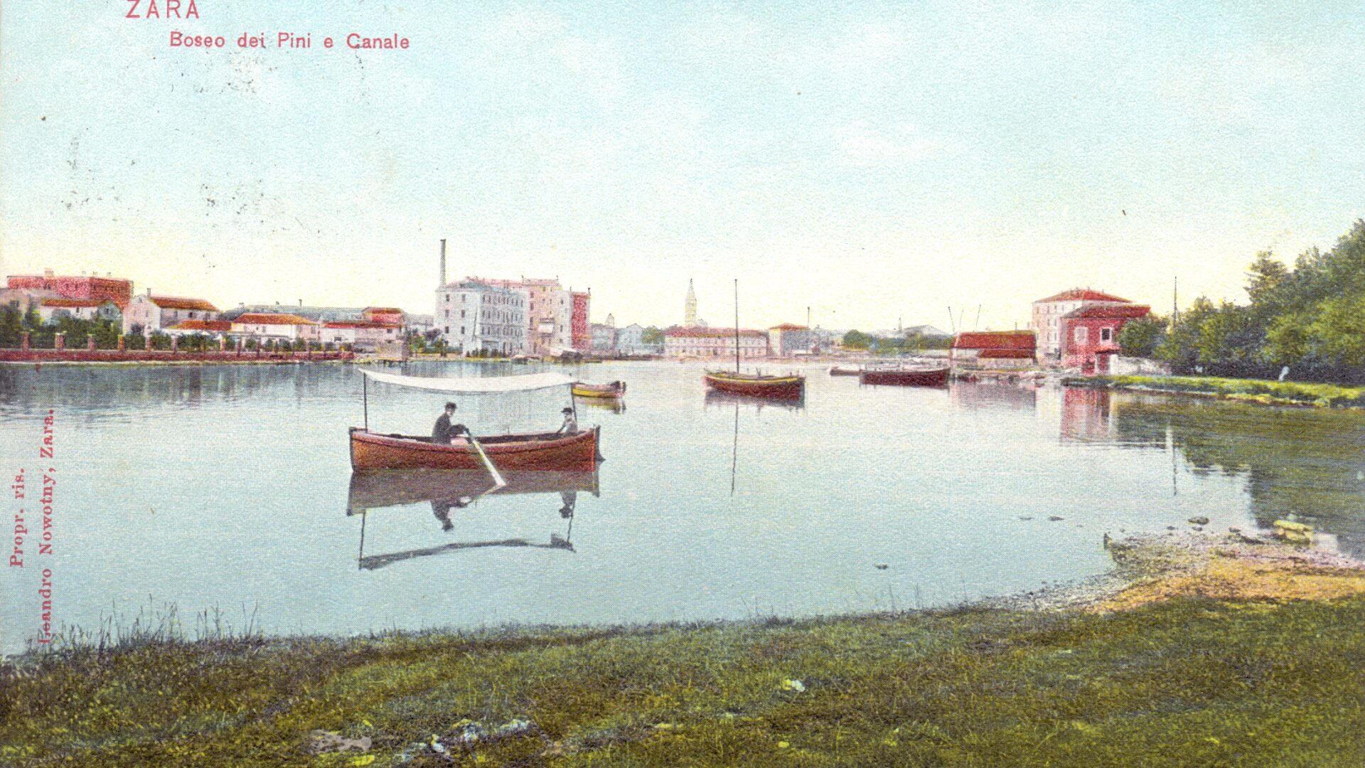 Export of cattle from Vrulja Bay image