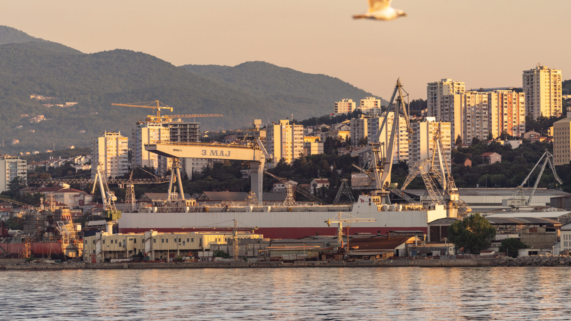 Welcome to Rijeka’s virtual museum image