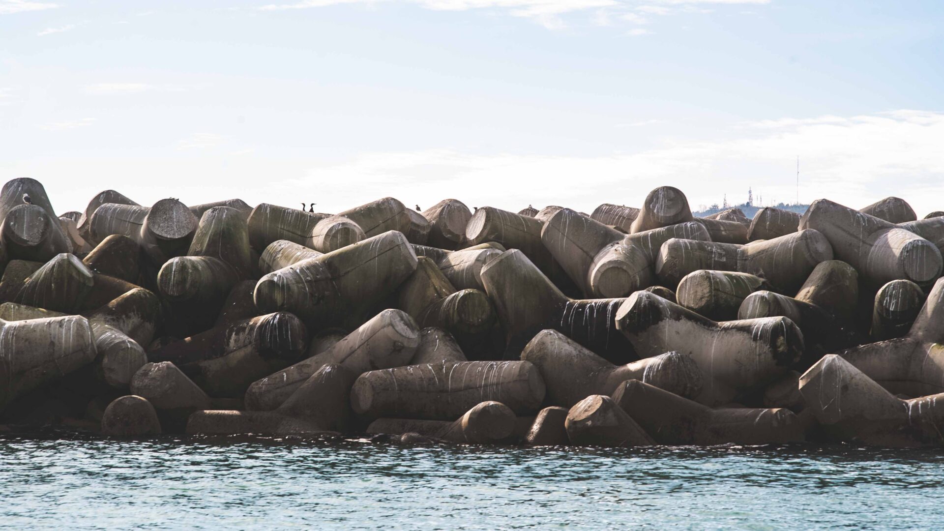 UNA STANZA IN MEZZO AL MARE TRA I TETRAPODI image
