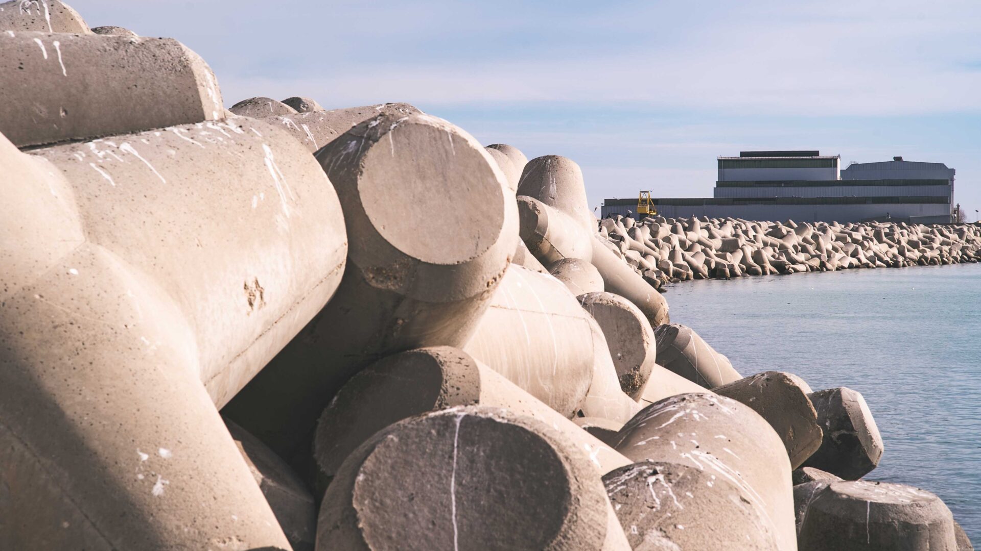 UNA STANZA IN MEZZO AL MARE TRA I TETRAPODI image