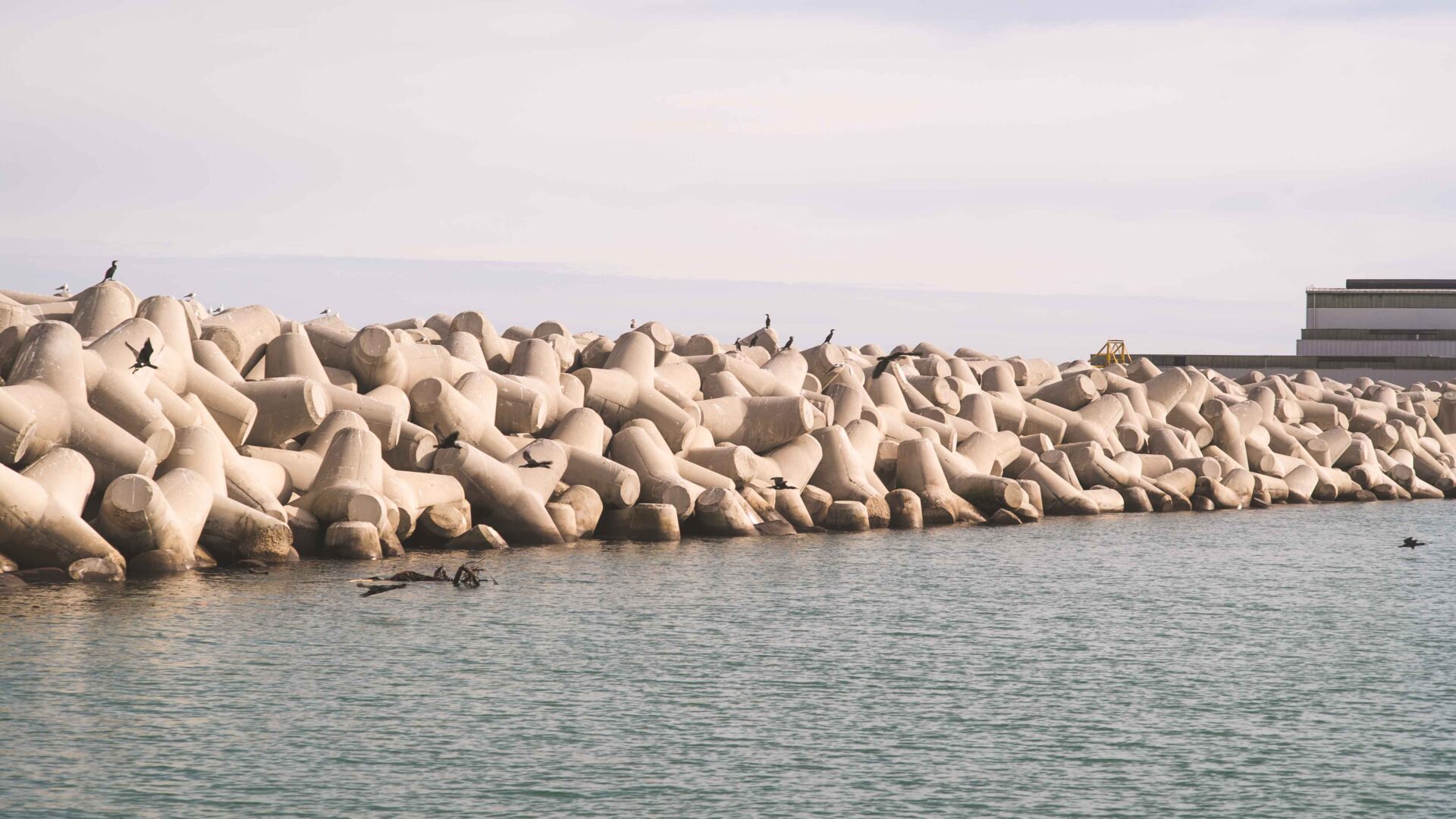 UNA STANZA IN MEZZO AL MARE TRA I TETRAPODI image