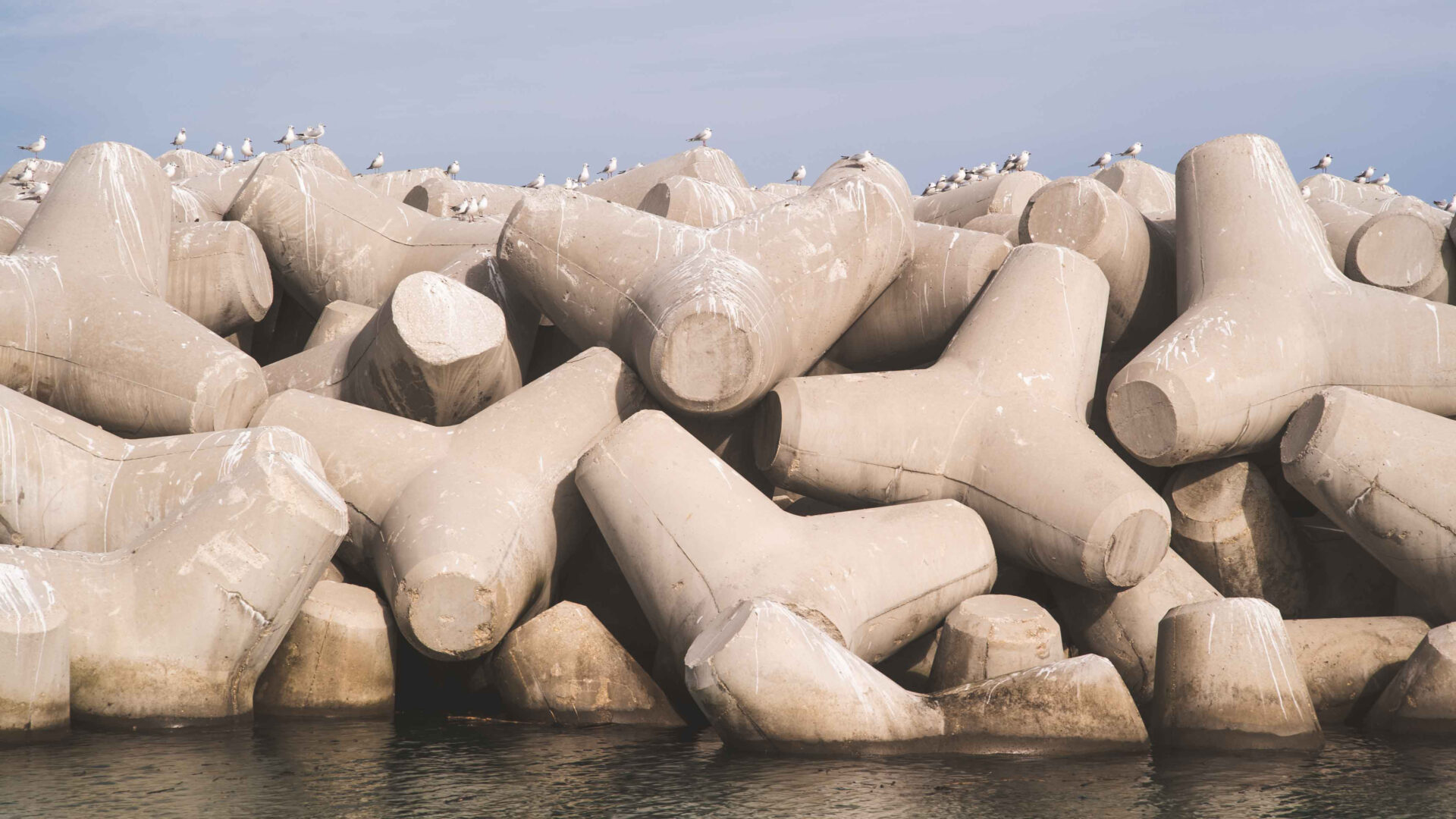 UNA STANZA IN MEZZO AL MARE TRA I TETRAPODI image