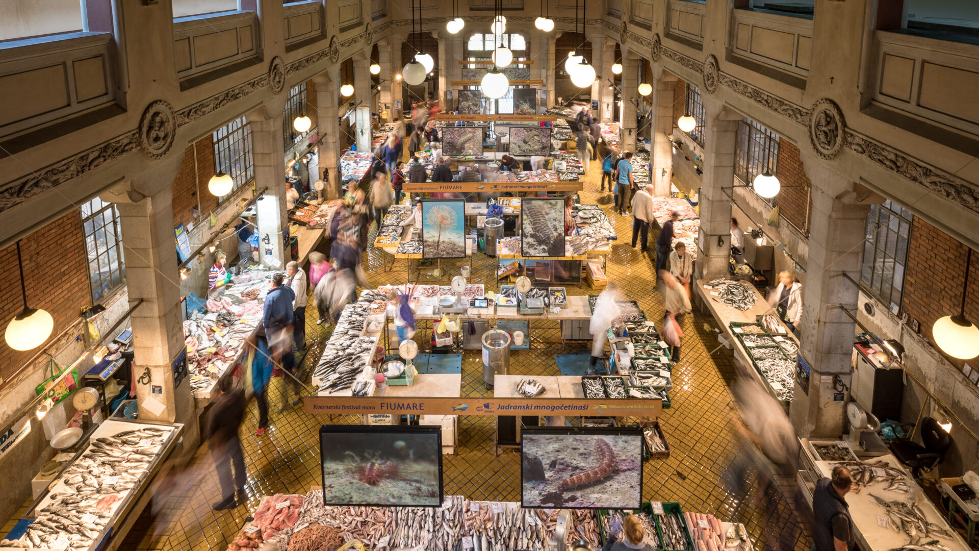 Welcome to Rijeka’s virtual museum image