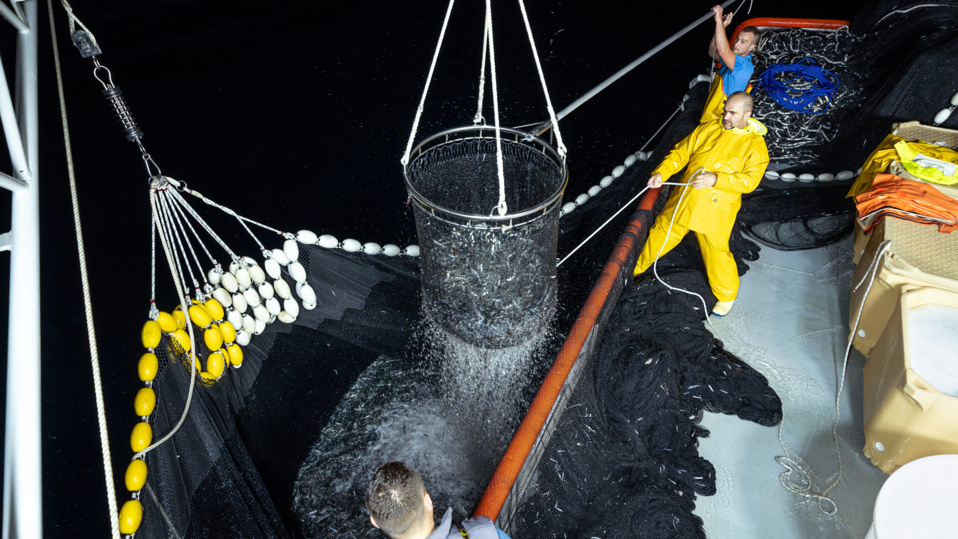 Welcome to Rijeka’s virtual museum image