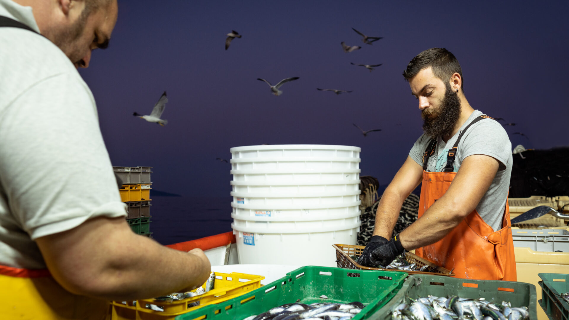 Welcome to Rijeka’s virtual museum image