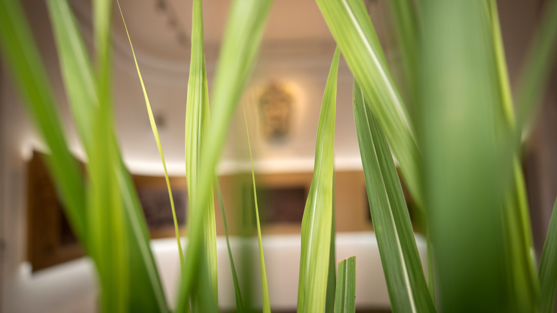 Welcome to Rijeka’s virtual museum image