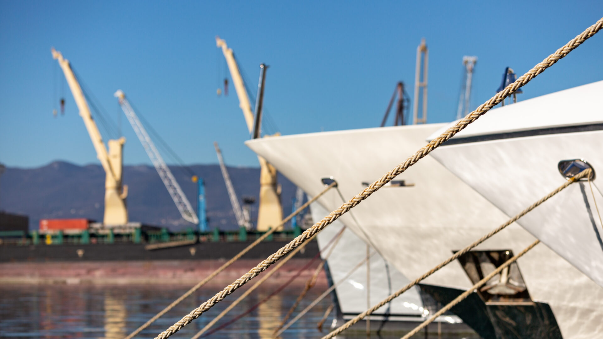 Welcome to Rijeka’s virtual museum image