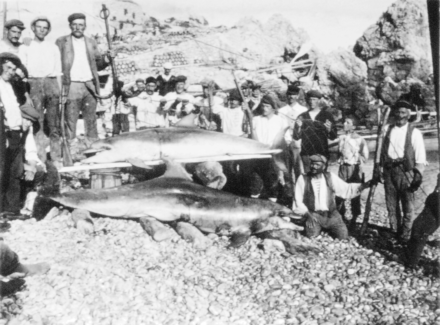 History of traditional fishing around adriatic islands with Vojga fishing nets image