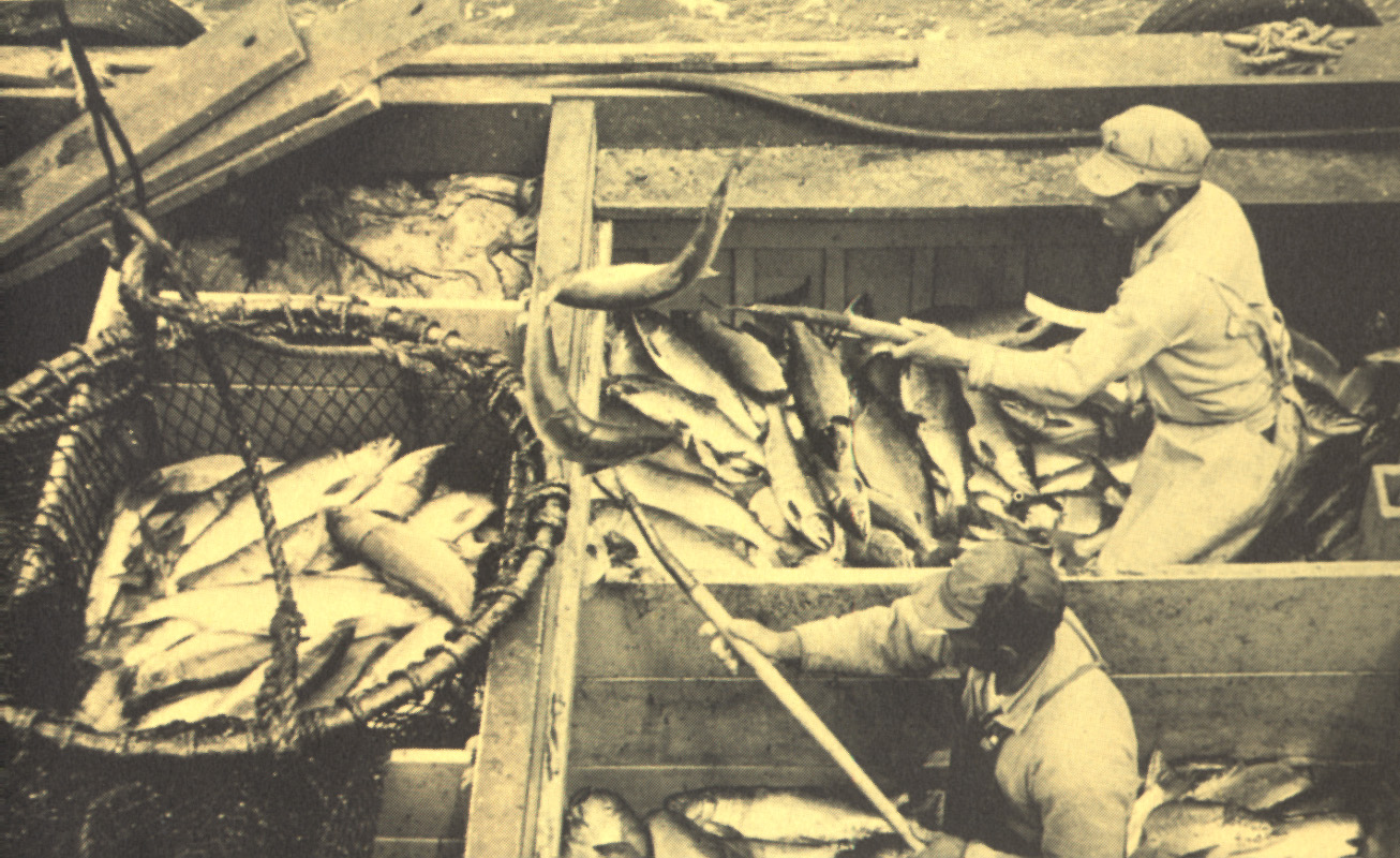CROATIAN FISHERMEN’S CONTRIBUTION  TO WORLD FISHING image