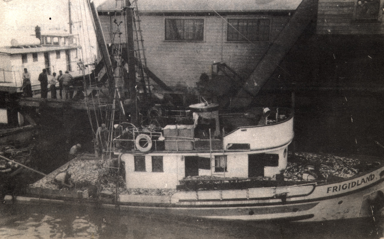 CROATIAN FISHERMEN’S CONTRIBUTION  TO WORLD FISHING image