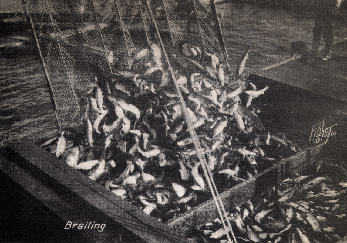 CROATIAN FISHERMEN’S CONTRIBUTION  TO WORLD FISHING image