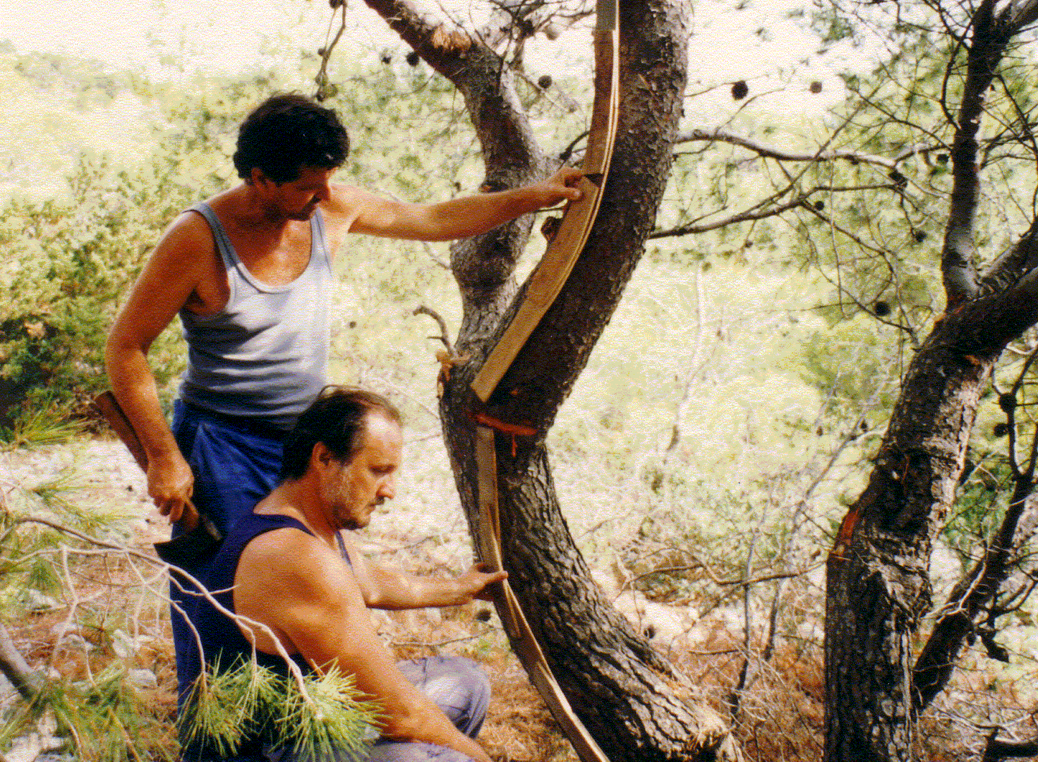 Ship design, shipbuilding image