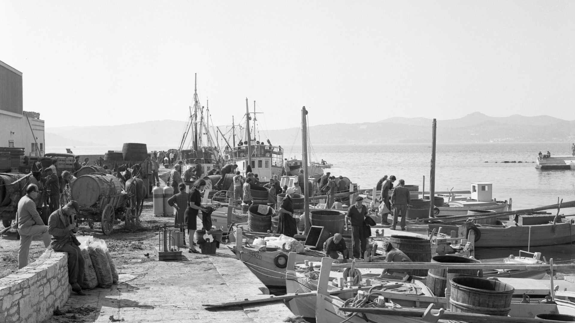 IL PORTO DI ZARA NELLA STORIA image