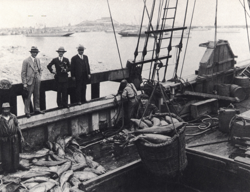 CROATIAN FISHERMEN’S CONTRIBUTION  TO WORLD FISHING image