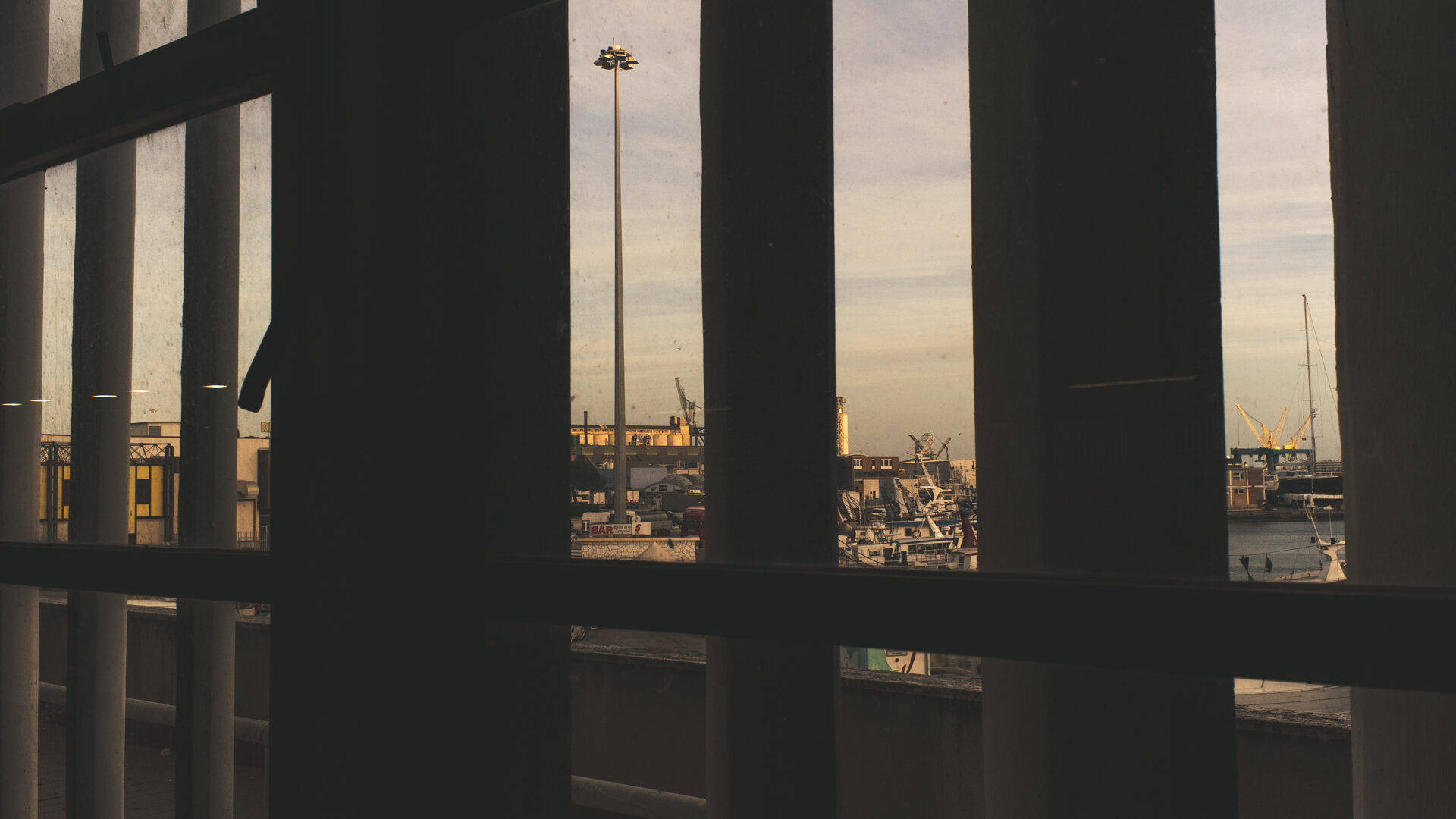 IL MERCATO ITTICO DEL MANDRACCHIO image