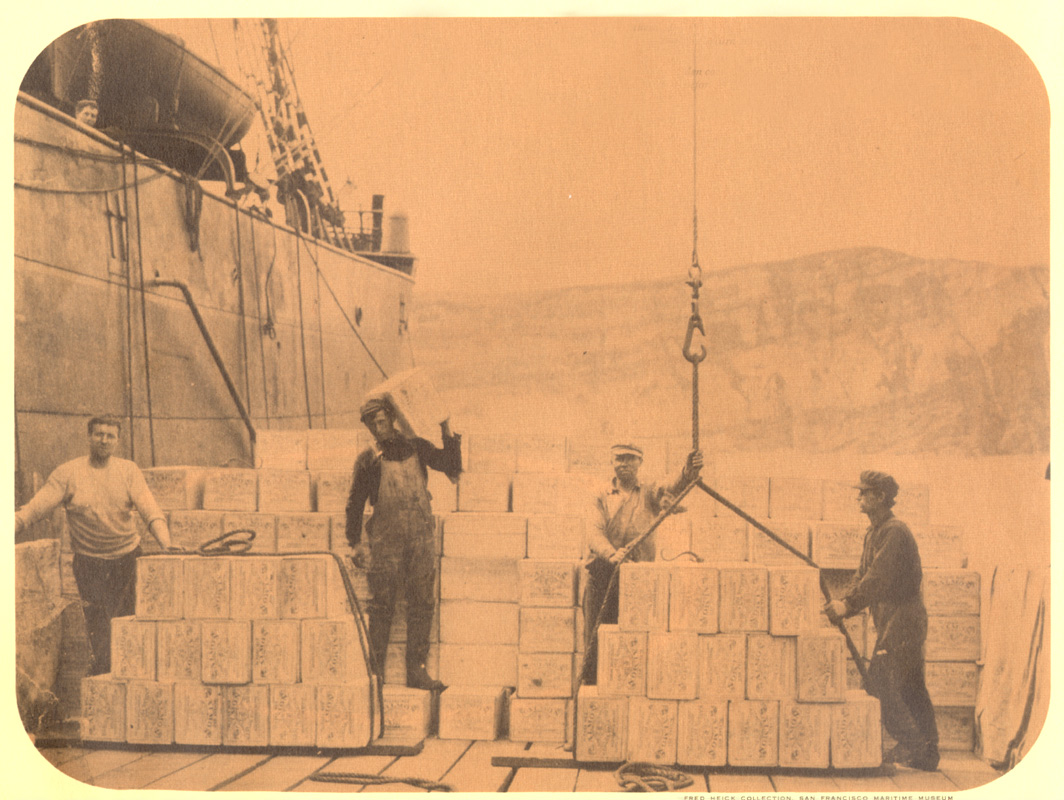 CROATIAN FISHERMEN’S CONTRIBUTION  TO WORLD FISHING image