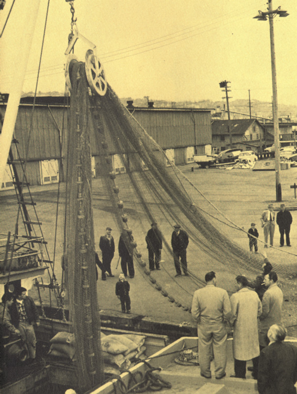 CROATIAN FISHERMEN’S CONTRIBUTION  TO WORLD FISHING image