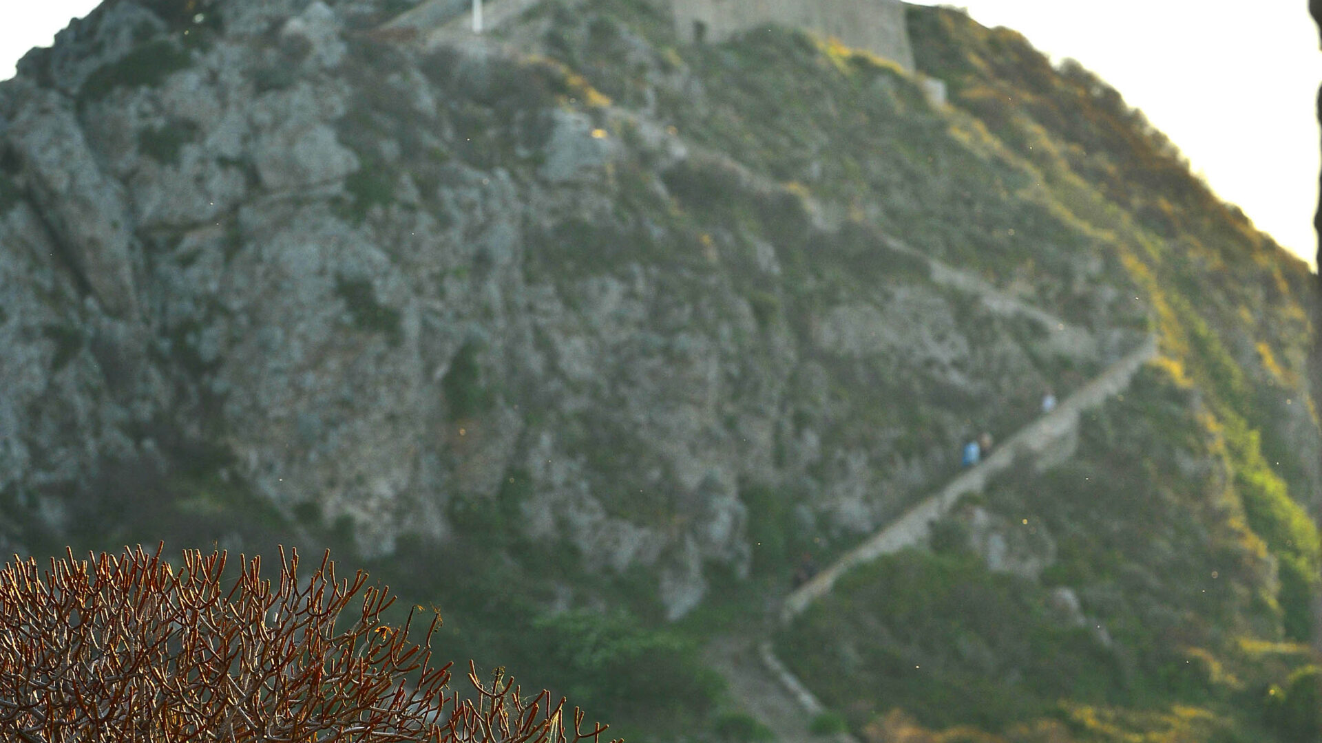Lighthouse on Palagruža islet image