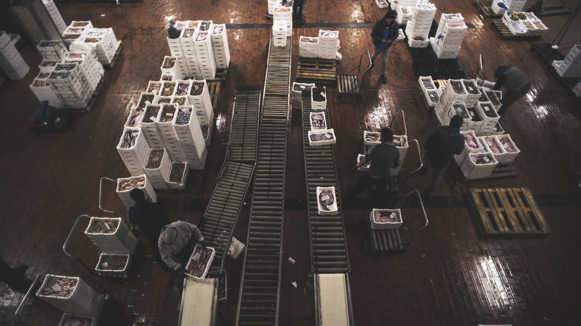 IL MERCATO ITTICO DEL MANDRACCHIO image