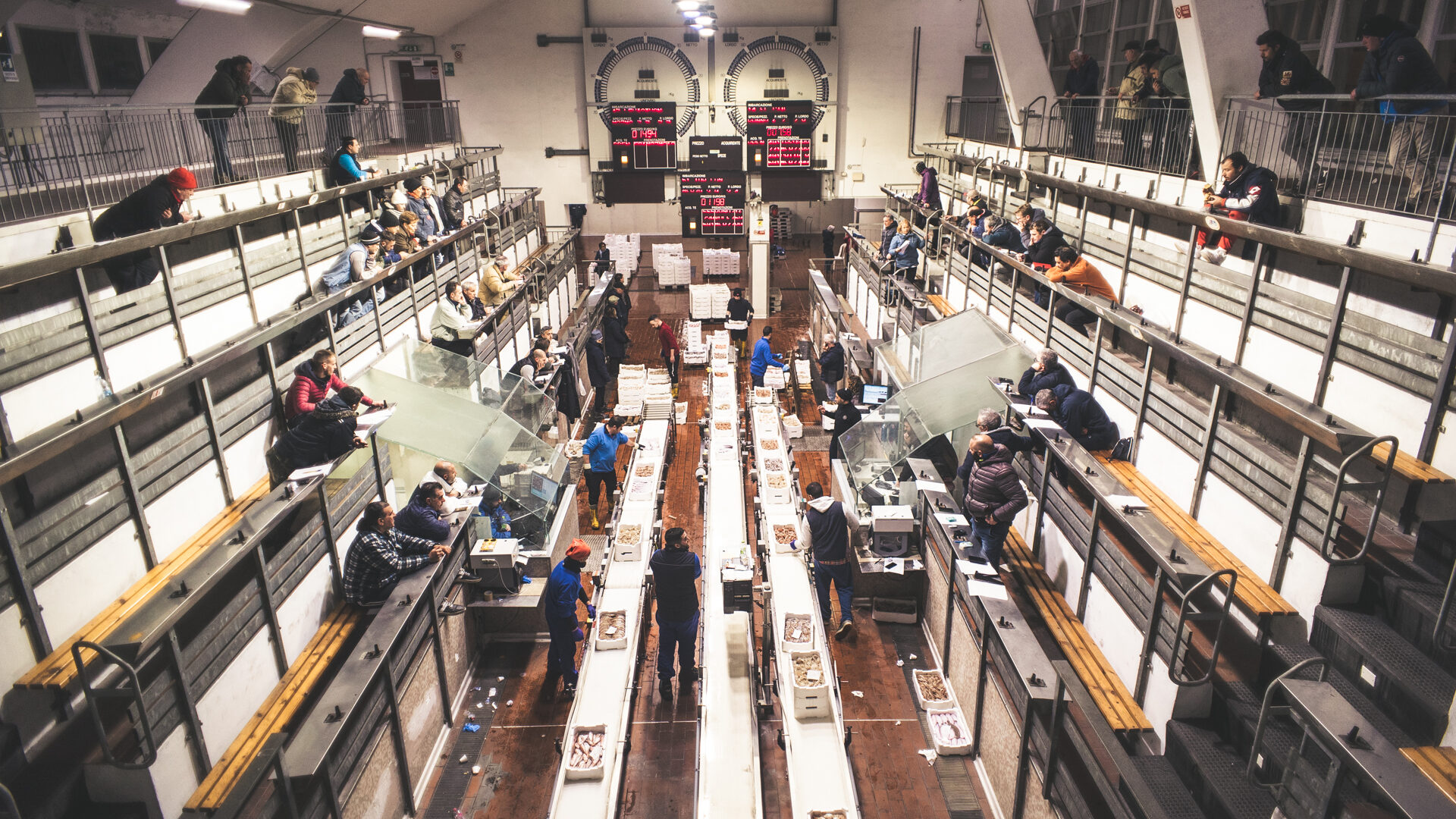 IL MERCATO ITTICO DEL MANDRACCHIO image