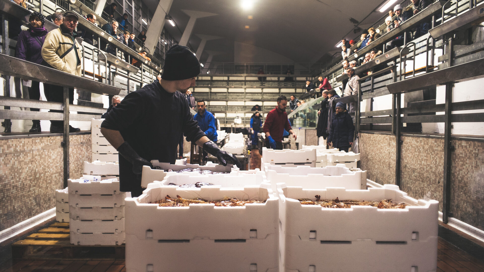 IL MERCATO ITTICO DEL MANDRACCHIO image