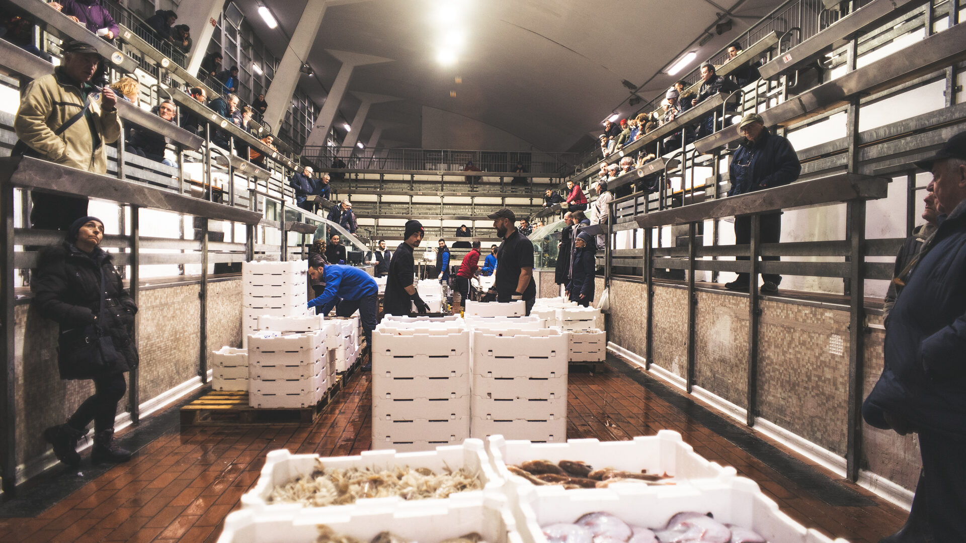 IL MERCATO ITTICO DEL MANDRACCHIO image