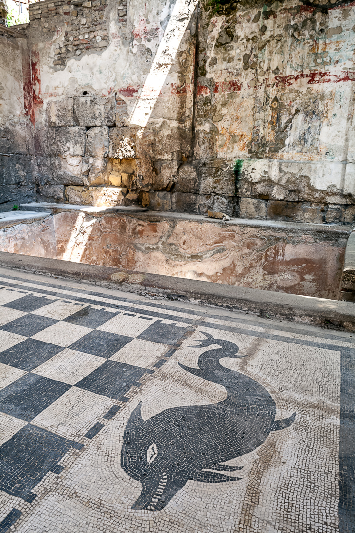 OVERLOOKING THE SEA image