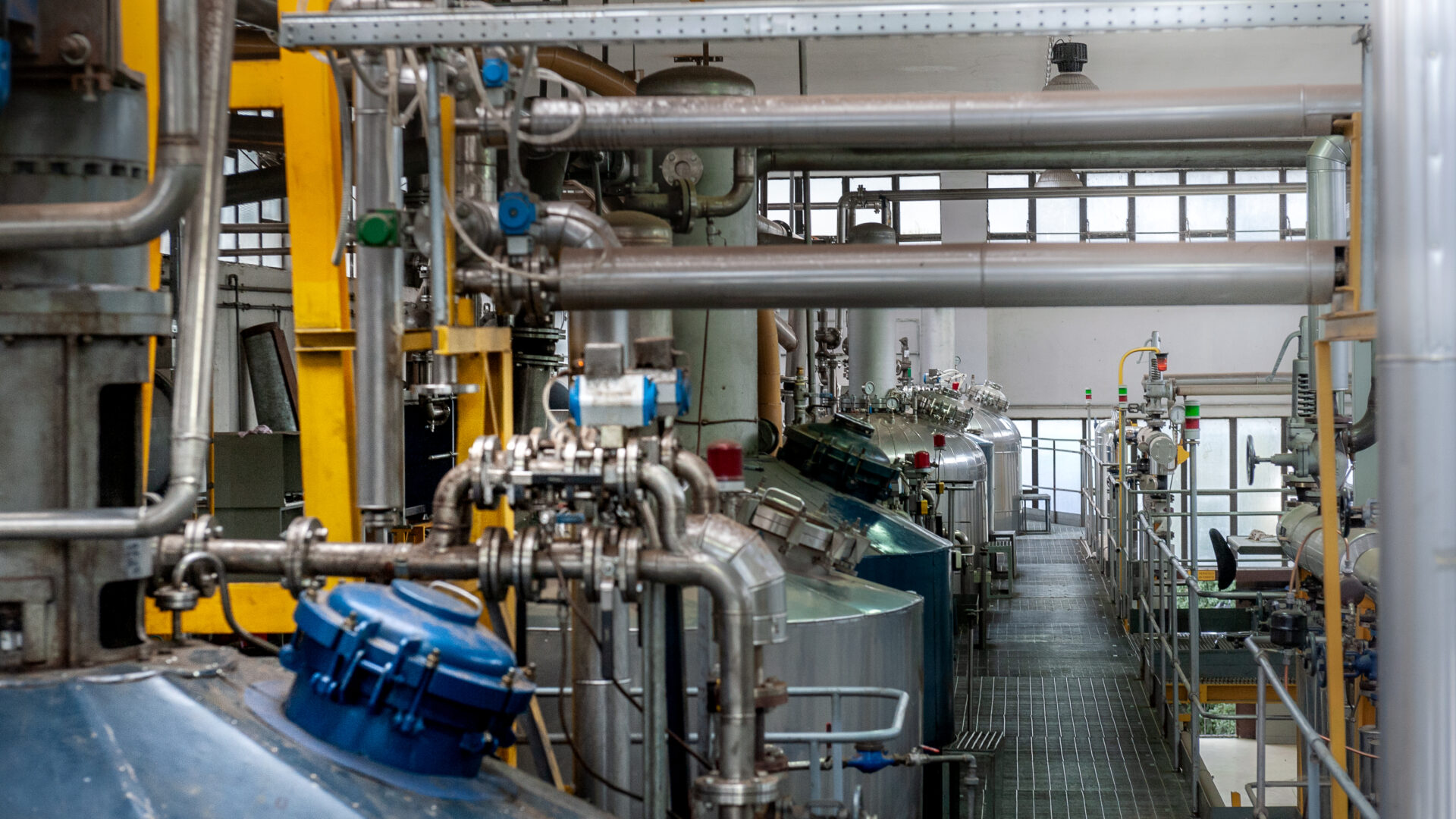 TRIESTE COFFEE ASSOCIATION image