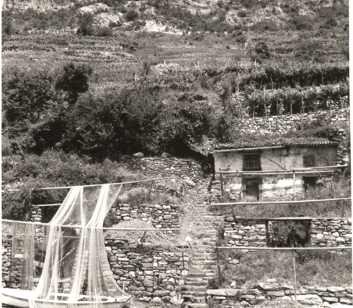 TRIESTE COASTAL FISHING MUSEUM image