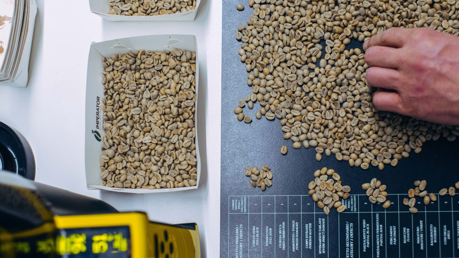 TRIESTE COFFEE ASSOCIATION image