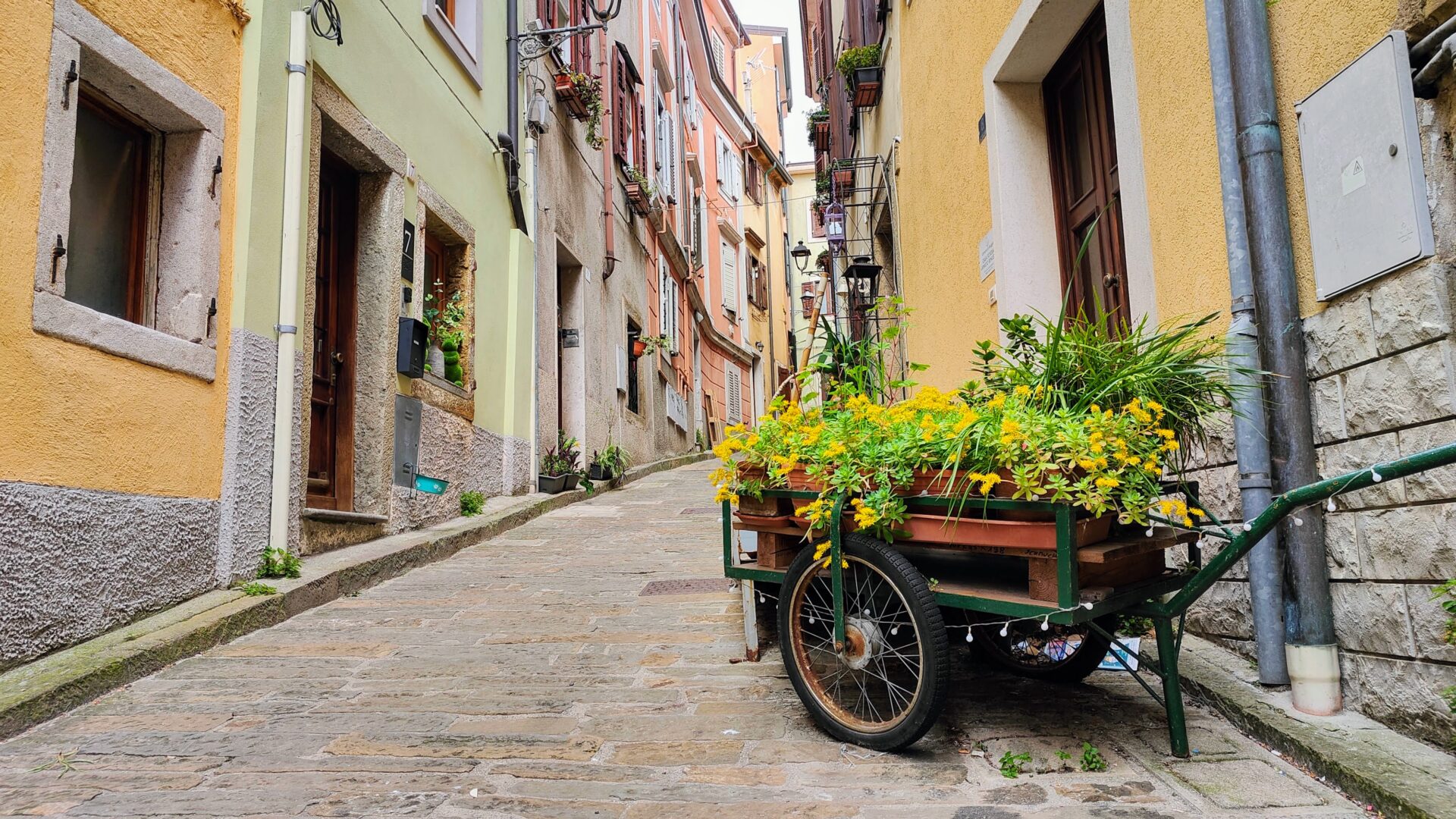 MUGGIA E IL LEGAME CON LA REPUBBLICA DI VENEZIA image