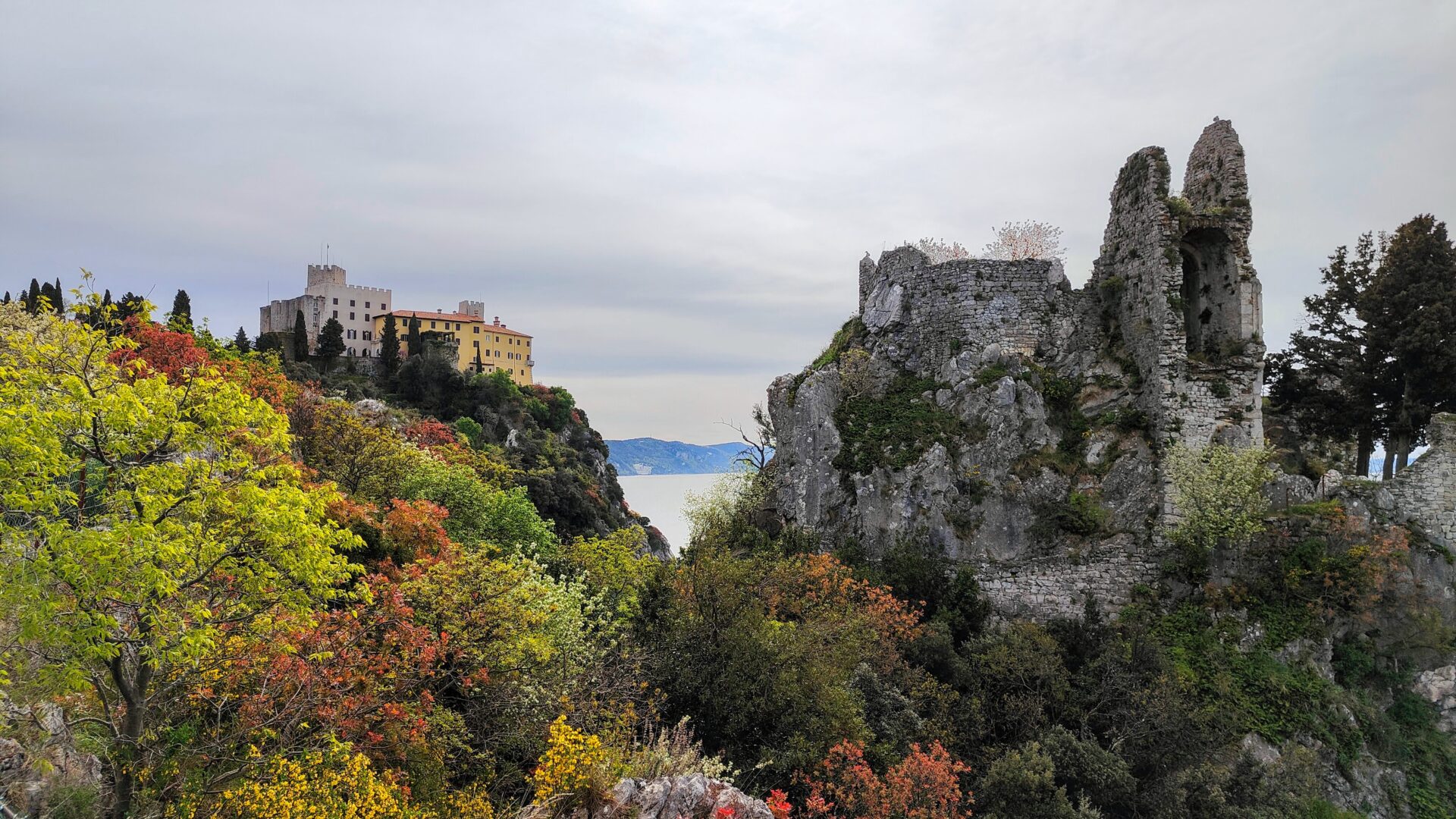 CASTELLO DI DUINO image
