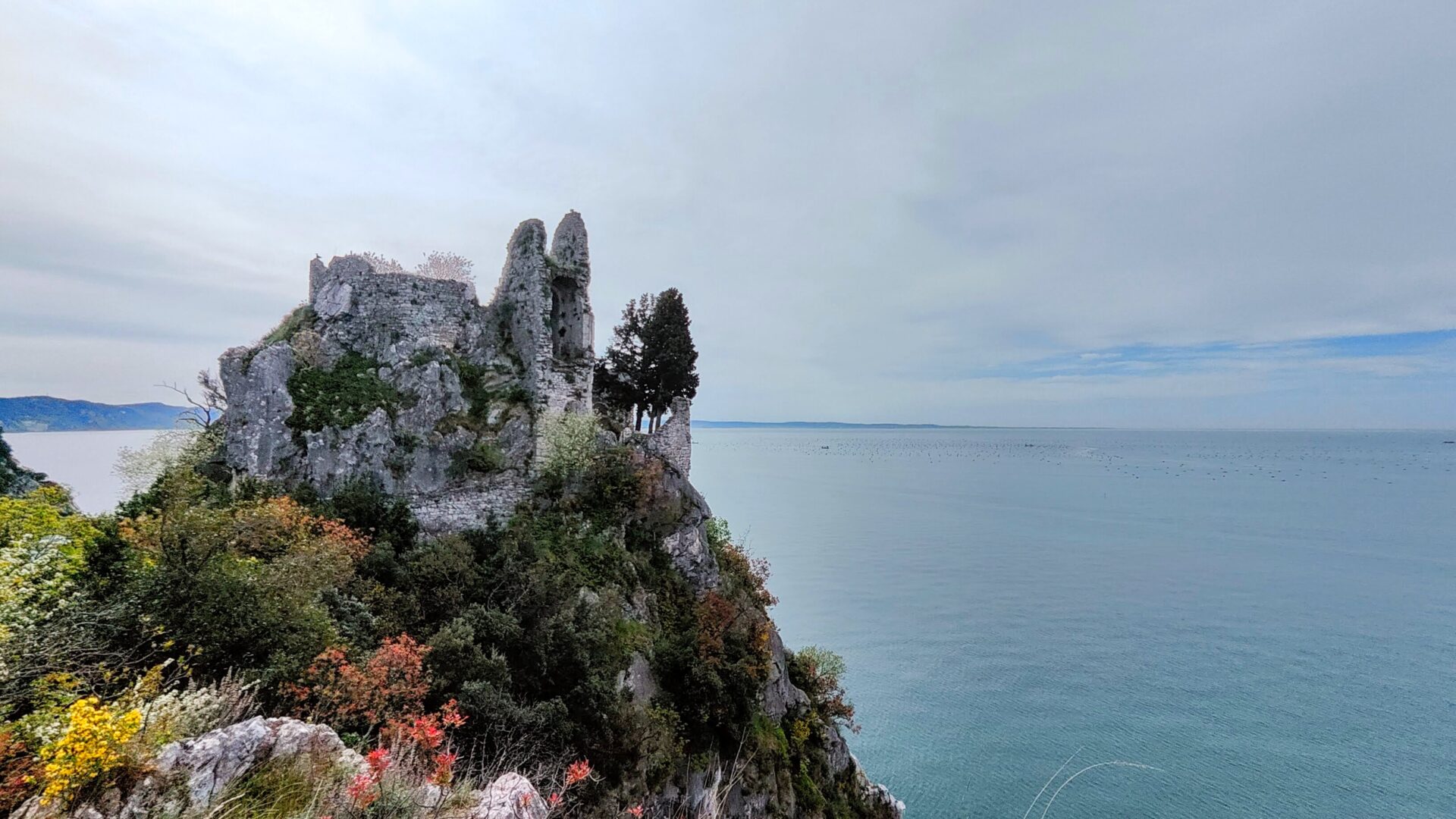CASTELLO DI DUINO image